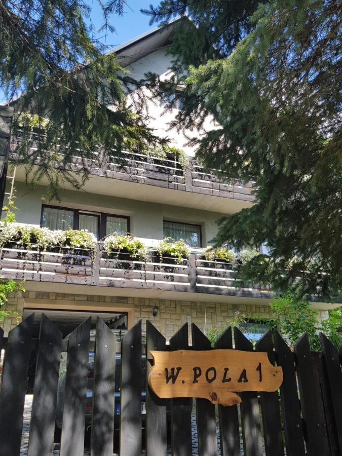 Pokoje Goscinne U Gochy Устрики-Долішні Екстер'єр фото