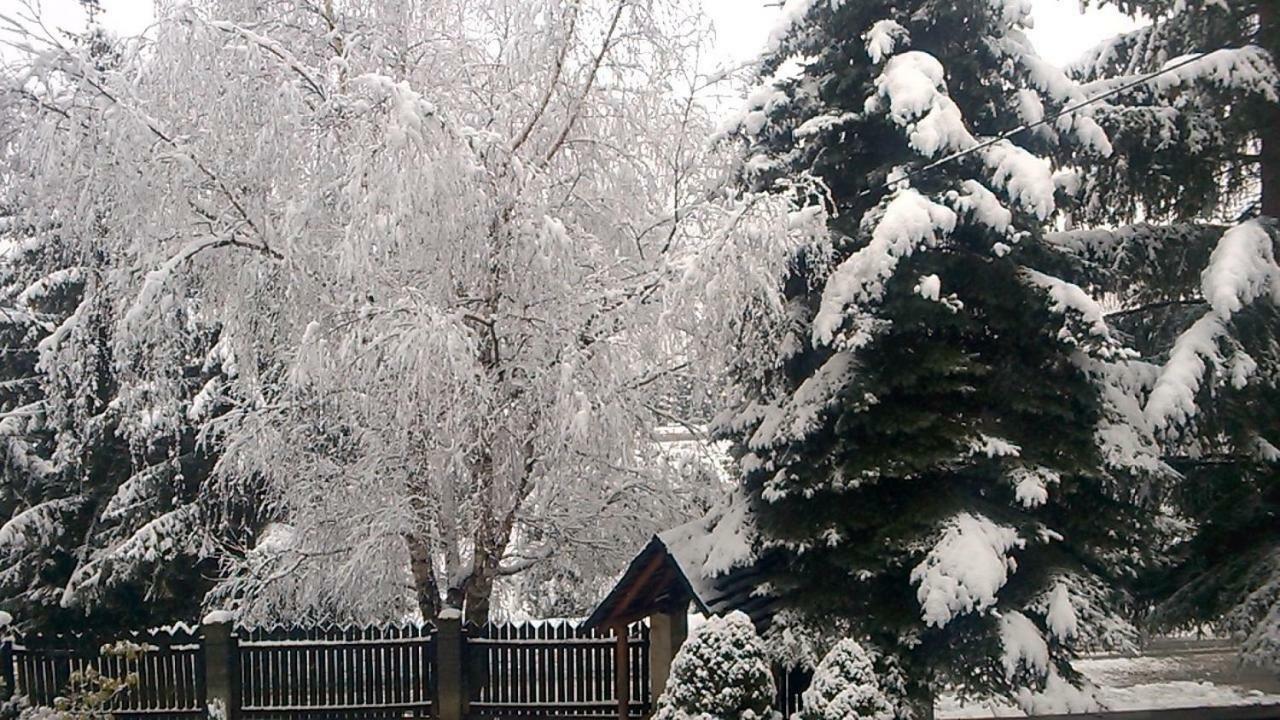 Pokoje Goscinne U Gochy Устрики-Долішні Екстер'єр фото